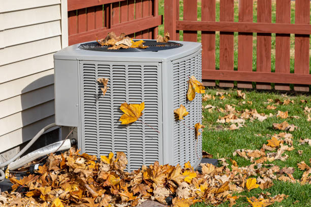 Best HVAC Installation Services  in Webster Groves, MO